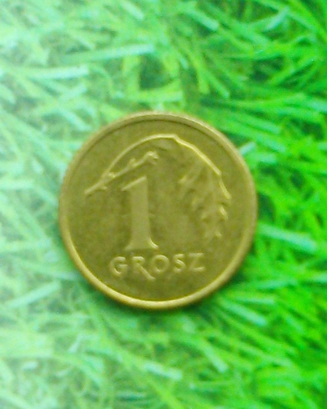 1 грош Польши 1998. Y#276