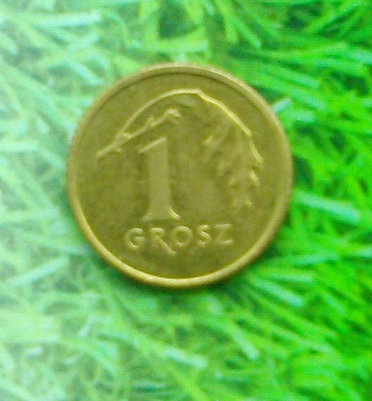 1 грош Польши 2001. Y#276