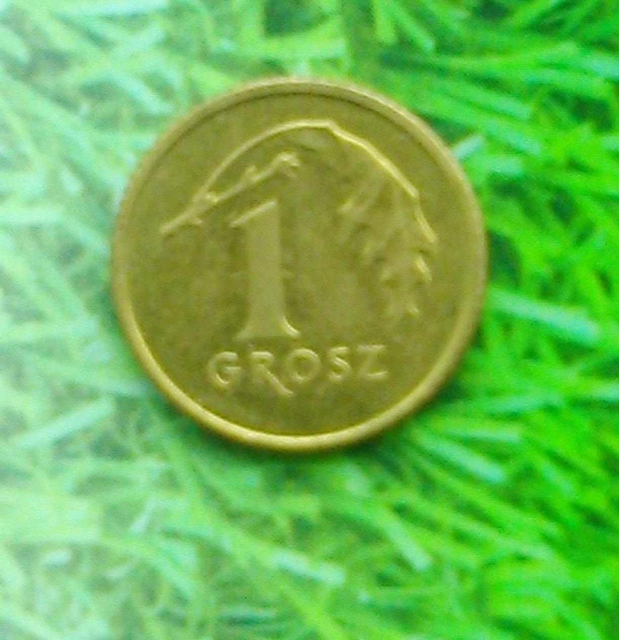 1 грош Польши 2002. Y#276