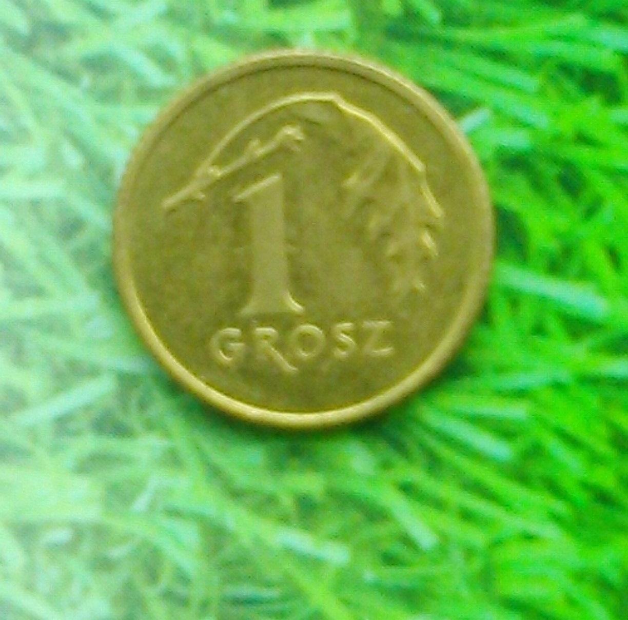 1 грош Польши 2003. Y#276
