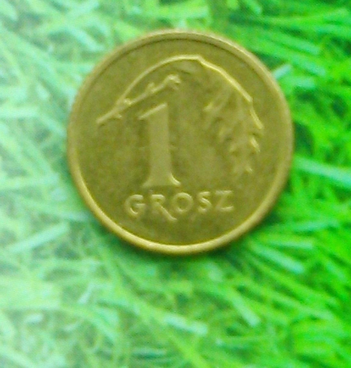 1 грош Польши 2004. Y#276