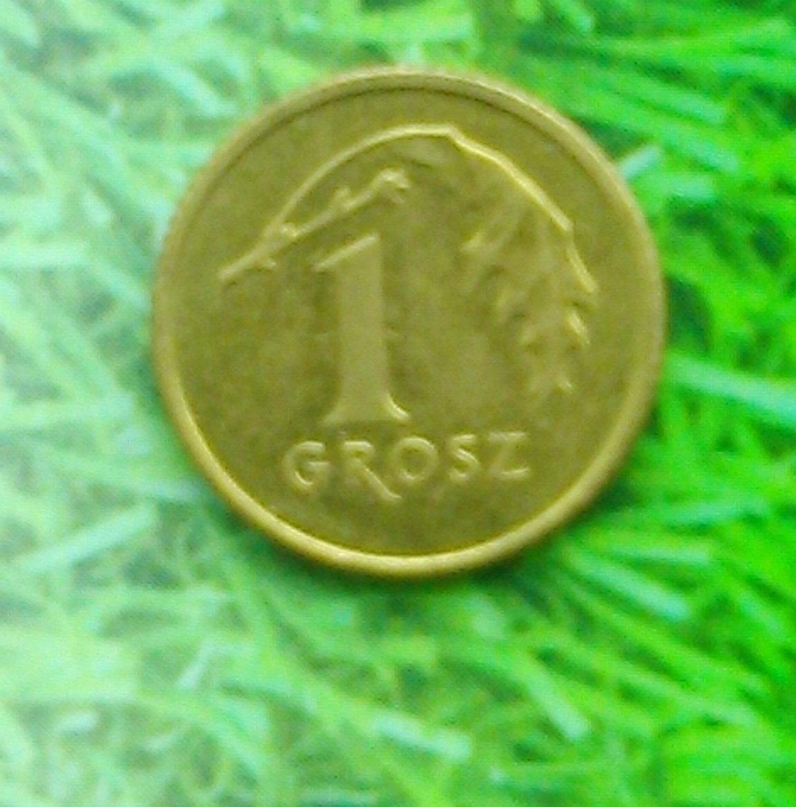1 грош Польши 2005. Y#276