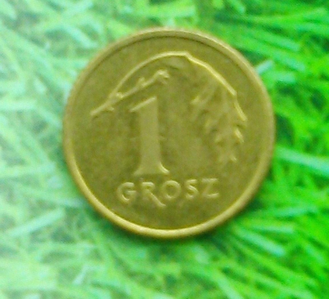 1 грош Польши 2007. Y#276