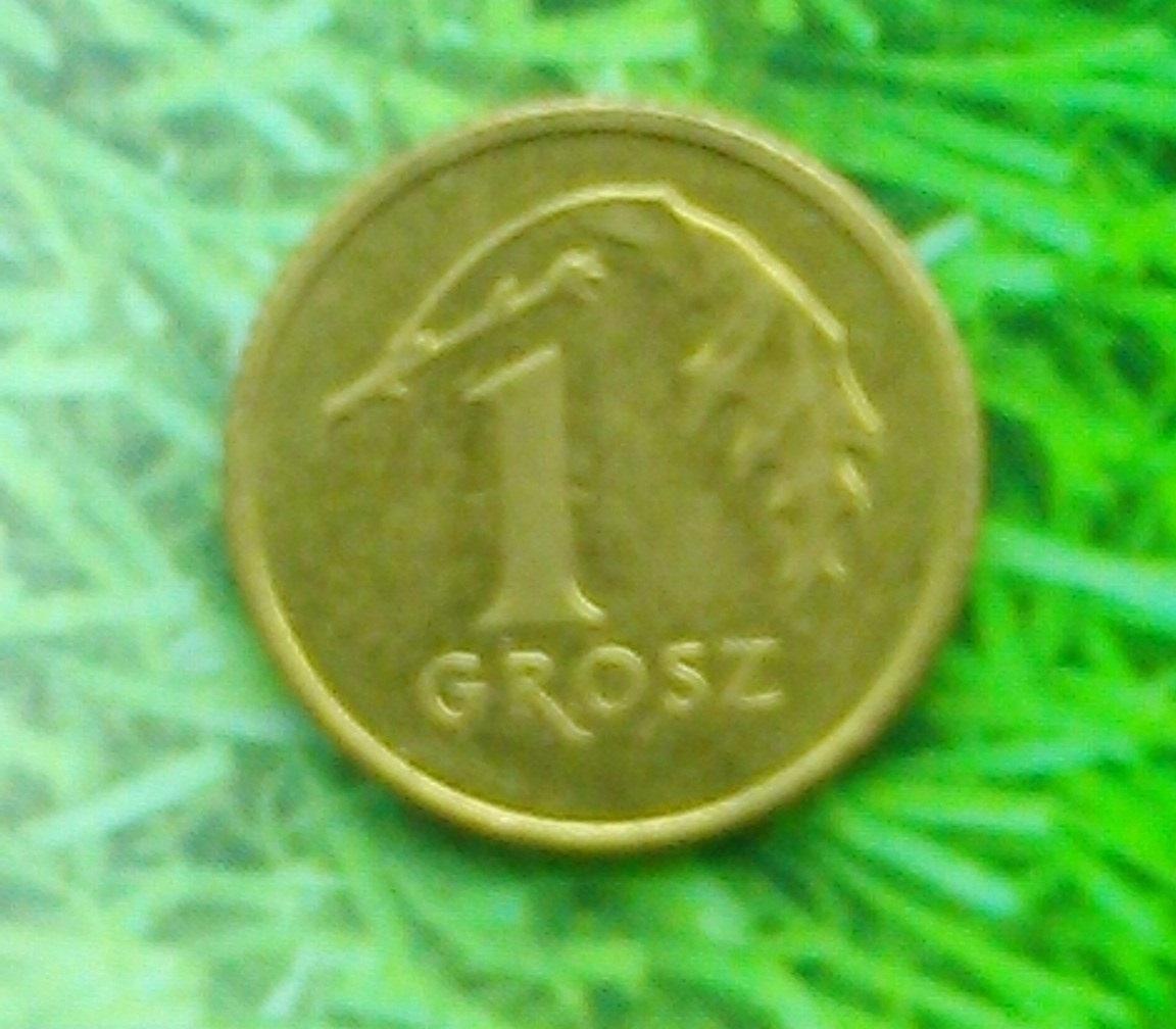 1 грош Польши 2008. Y#276