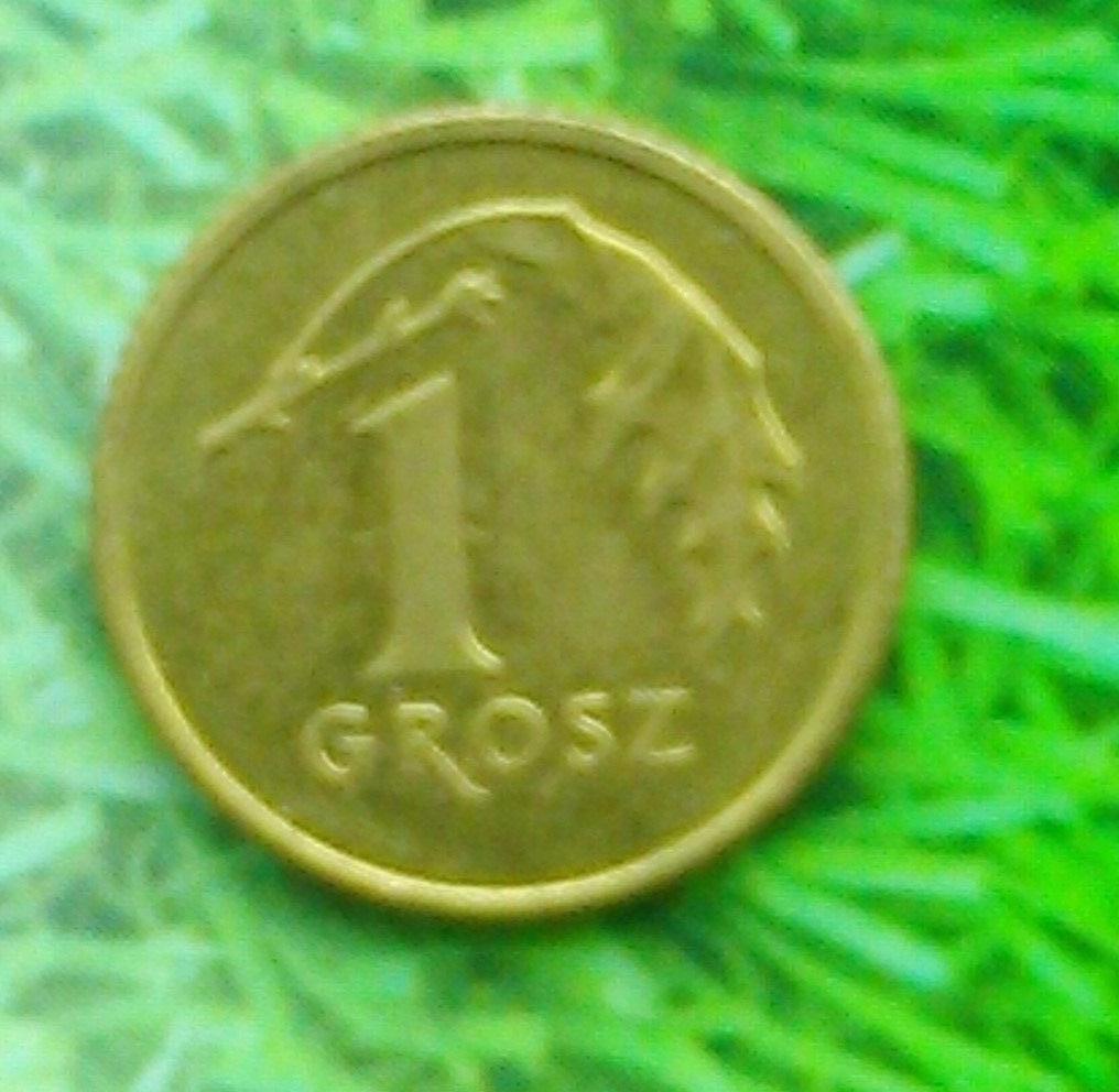 1 грош Польши 2012. Y#276