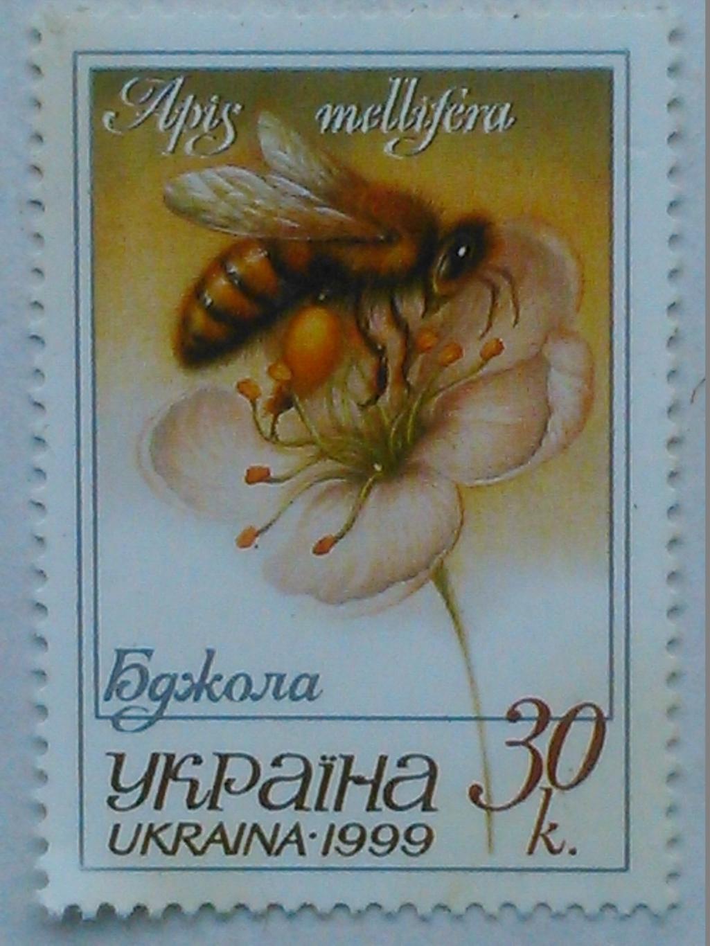 Украина.1999. №254. Пчела. коллекционная марка. Гуртом знижки до 50%!