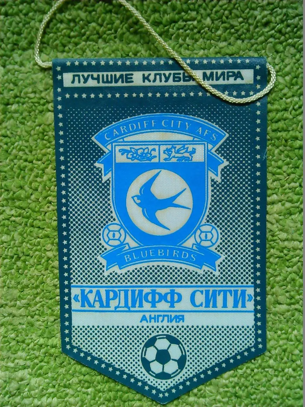 КАРДИФ СИТИ Англия. серия ЛУЧШИЕ КЛУБЫ МИРА. односторонний. Оптом скидки до 35%!