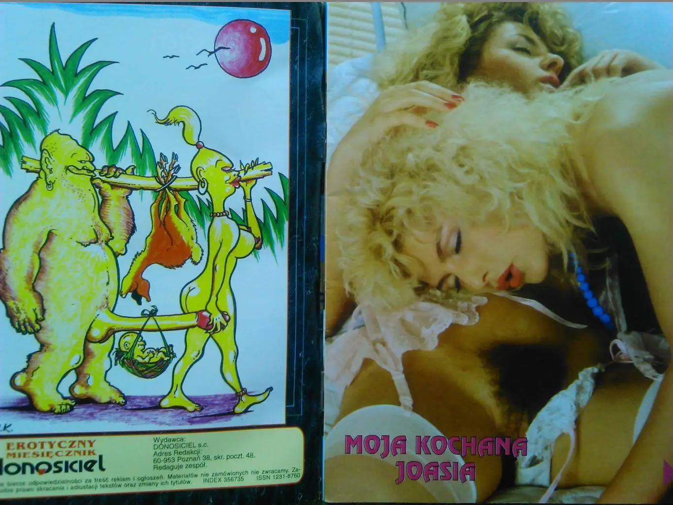 PORADNIK EROTYCZNY №44 (Польша.) Мини постер. Оптом скидки до 40%! 1