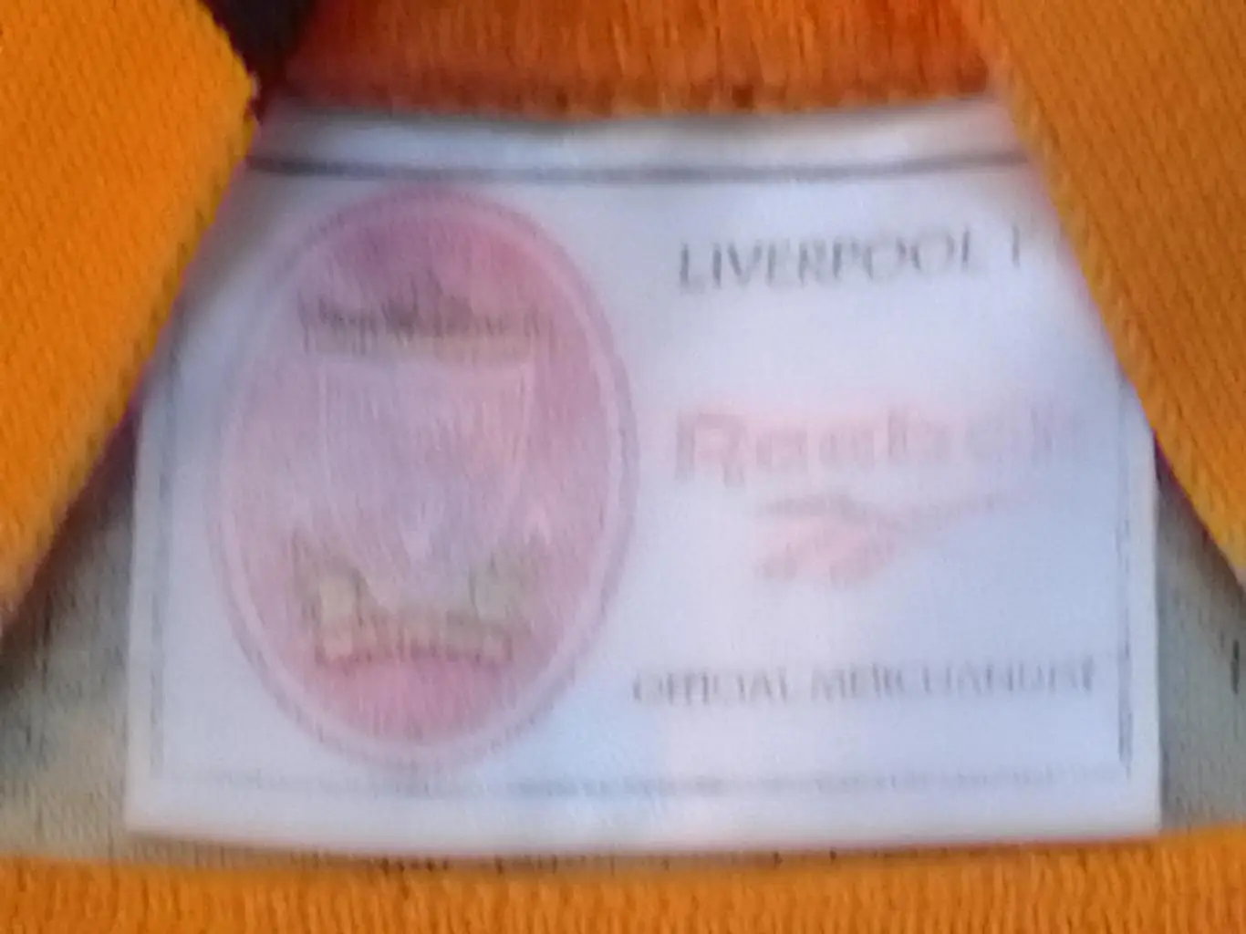 Футболка вратаря LIVERPOOL. ЛИВЕРПУЛЬ фирмы Reebok. Оптом скидка до 32%! 3