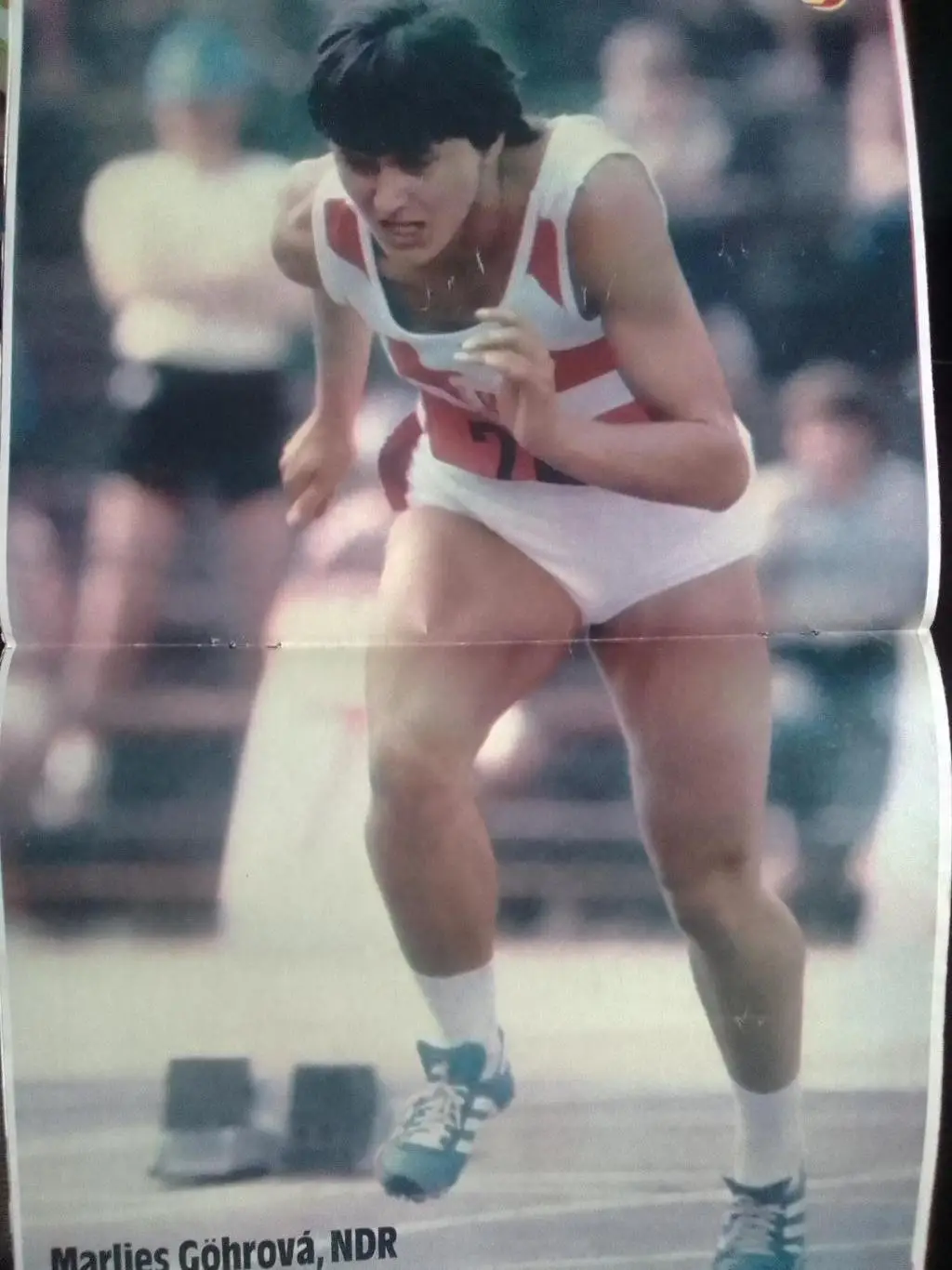 Stadion (Стадион).№ 29 (1463) 1981 (Чех.) Футбол- ЗІКО. Хокей. Оптом скидки 31% 2