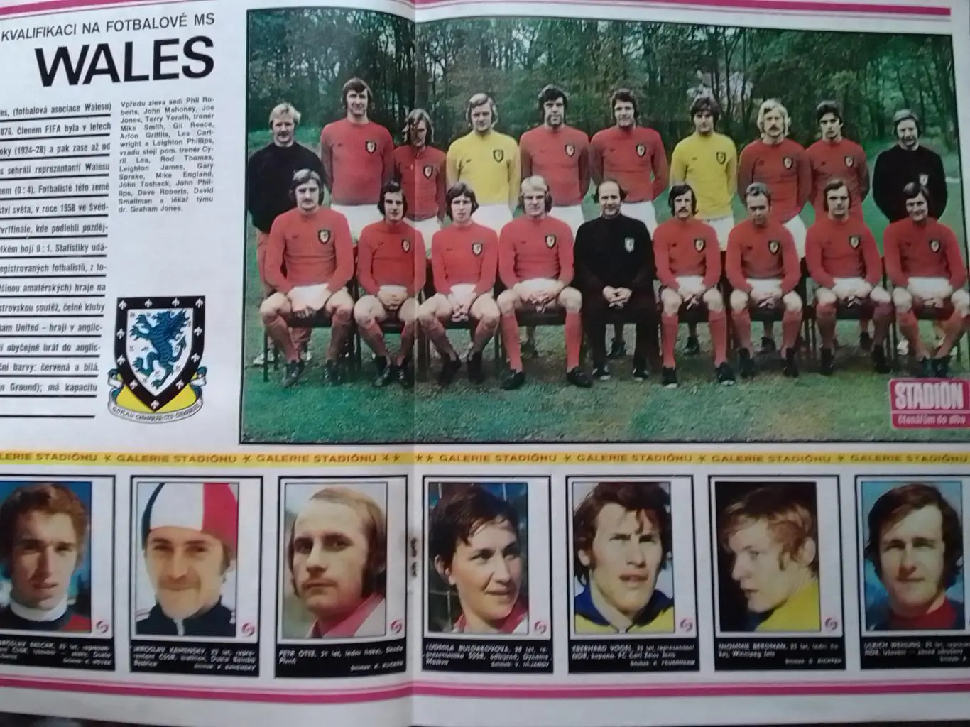 WALES./ УЕЛЬС.( 53 х 34 см.) Оптом скидки до 35%!