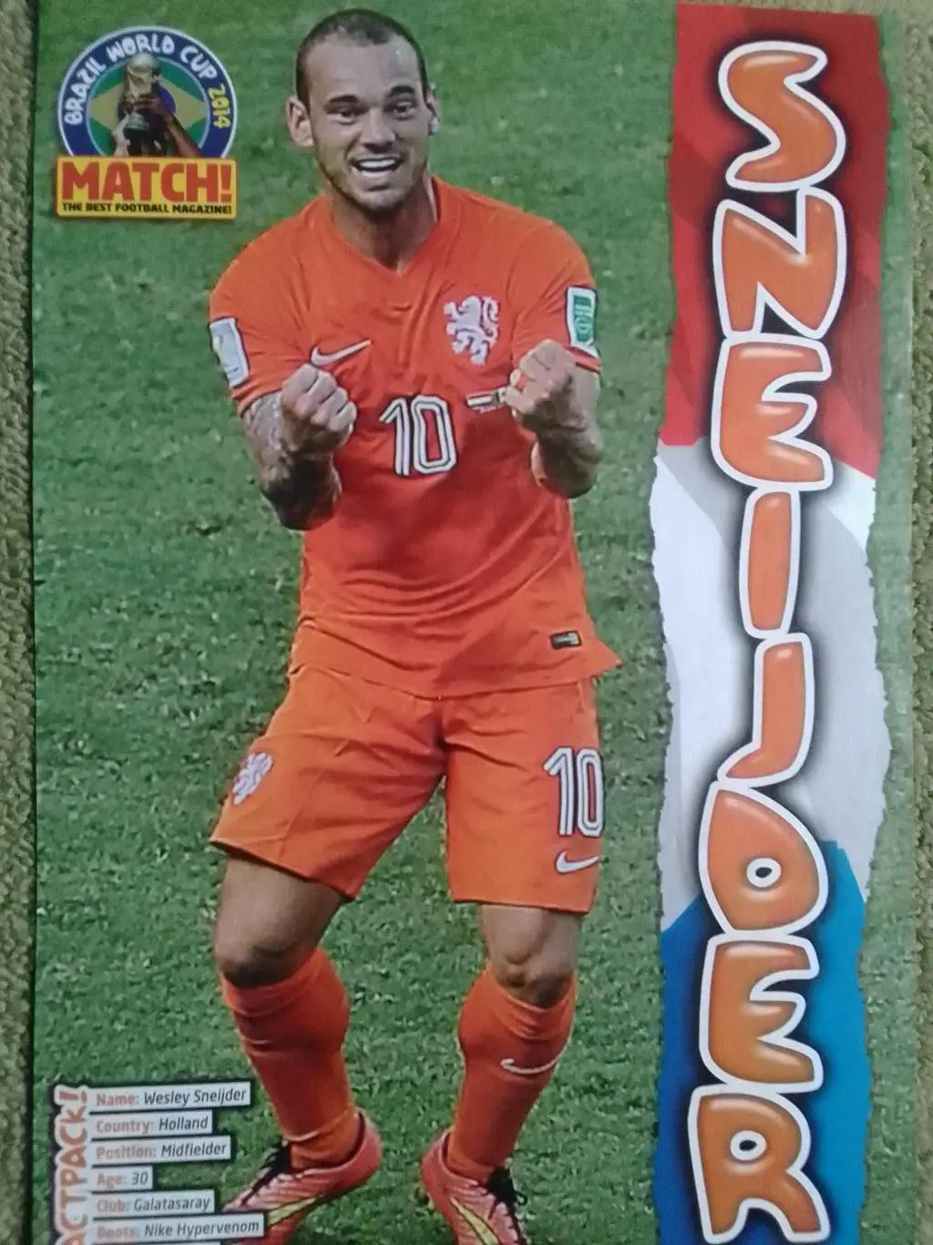 SNAIJDER, СНАЙДЕР. Голландия./ WITSEL Бельгия (20 х 30 см.) Оптом скидки до 35%!