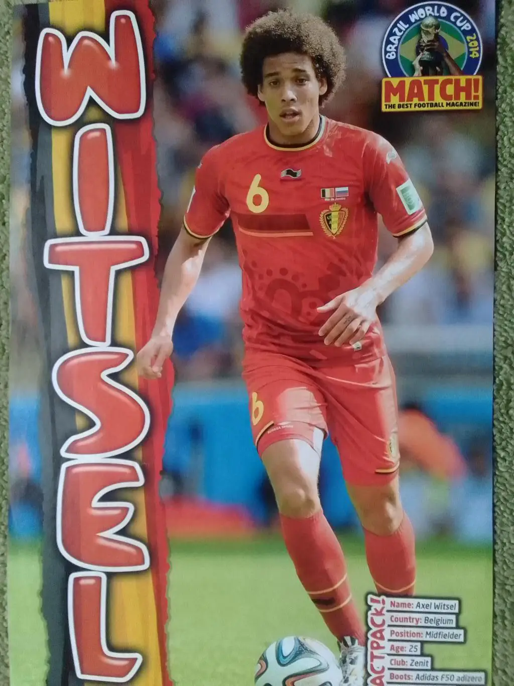 SNAIJDER, СНАЙДЕР. Голландия./ WITSEL Бельгия (20 х 30 см.) Оптом скидки до 35%! 1