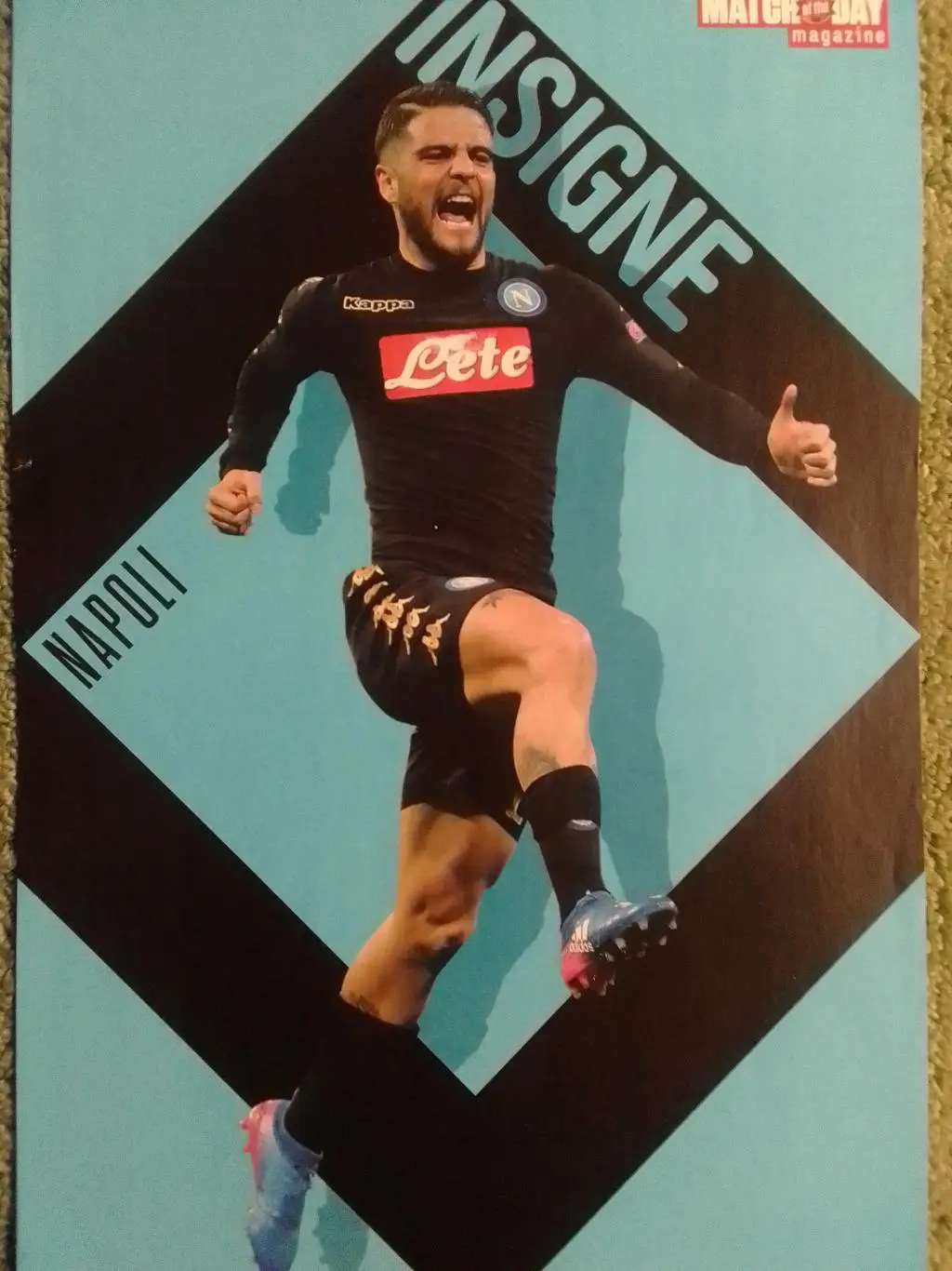 INSIGNE. ИНСАЙГН. НАПОЛИ. NAPOLI (20 х 30 см.) Оптом скидки 35%!