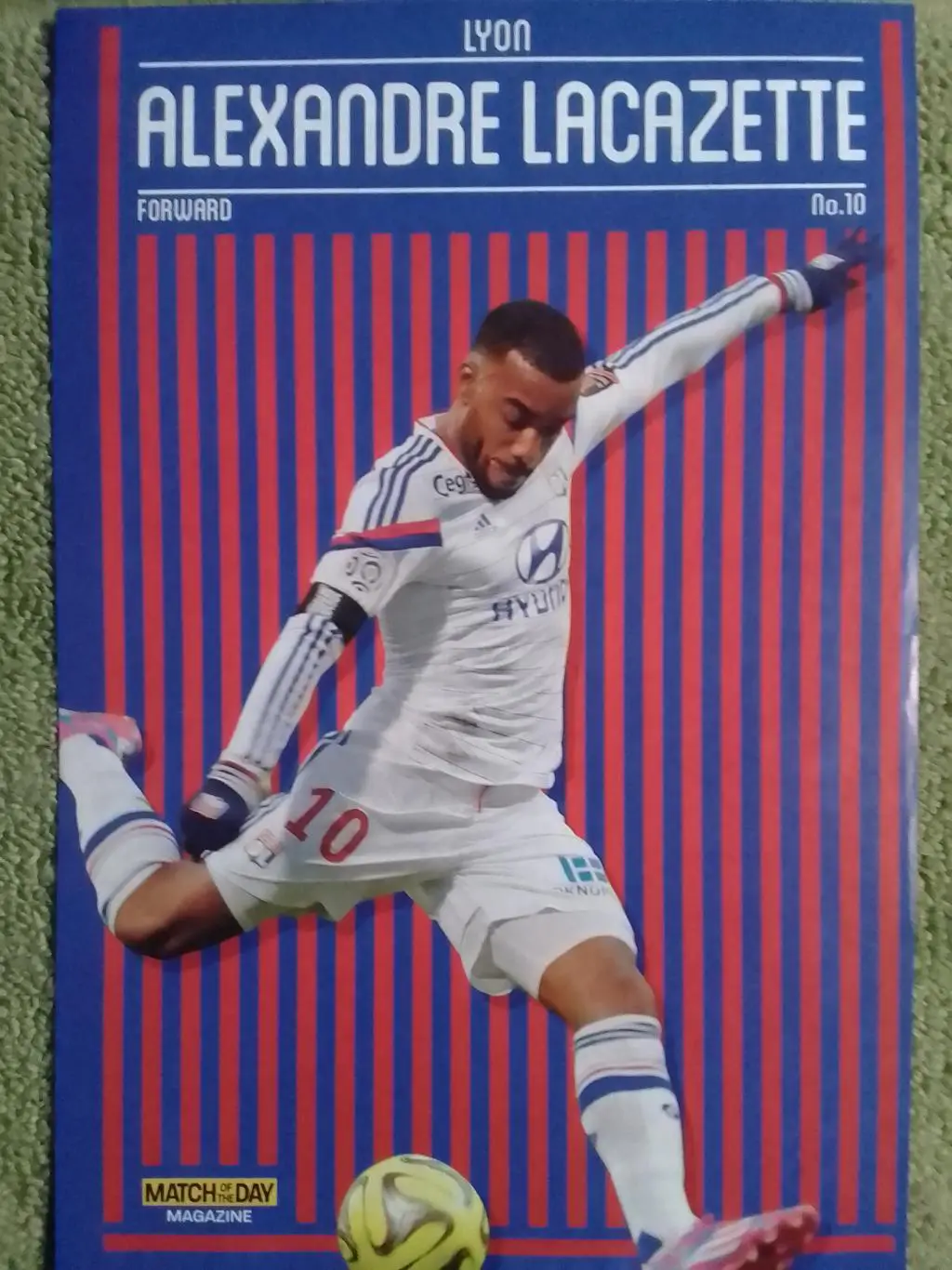 Alex. LACAZETTE. LION./ Алесандр ЛАКАЗЕТТИ. ЛИОН (20 х 30 см.) Оптом скидки 30%!