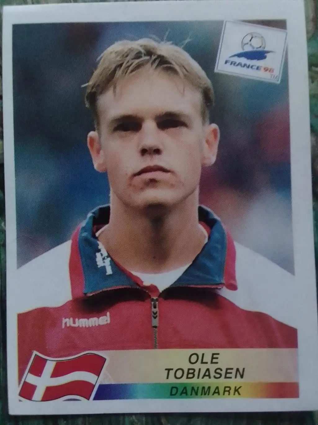 Наклейка Паннини Франция ЧМ 1998. ДАНИЯ № 217. Оптом скидки до 33%