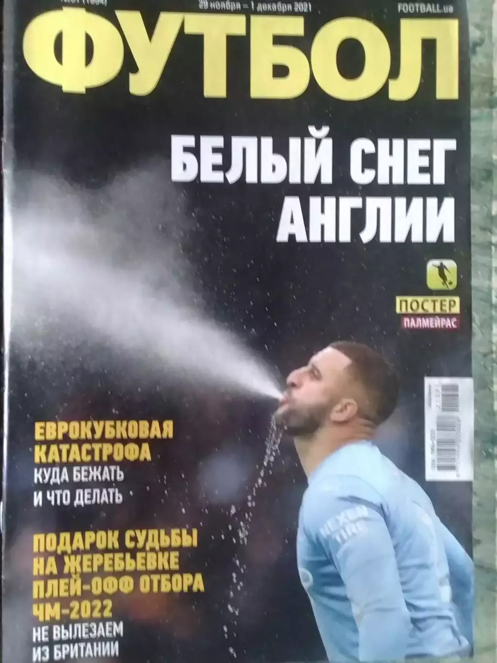 ФУТБОЛ №91 (1993).(UA) 2021. Постер-ПАЛМЕЙРАС (а3, а4) Оптом скидки до 31%!