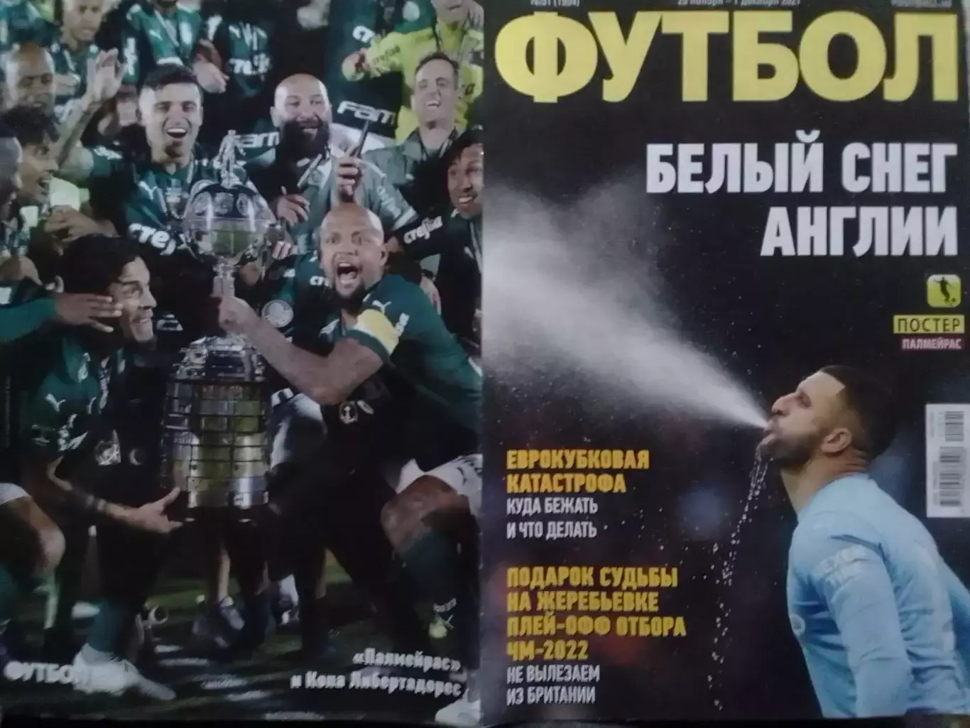 ФУТБОЛ №91 (1993).(UA) 2021. Постер-ПАЛМЕЙРАС (а3, а4) Оптом скидки до 31%! 1