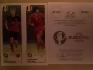 ПанниниEURO 2016 Jan VERTONGHEN, M FELLAINI Бельгия. Оптом скидки до 30%