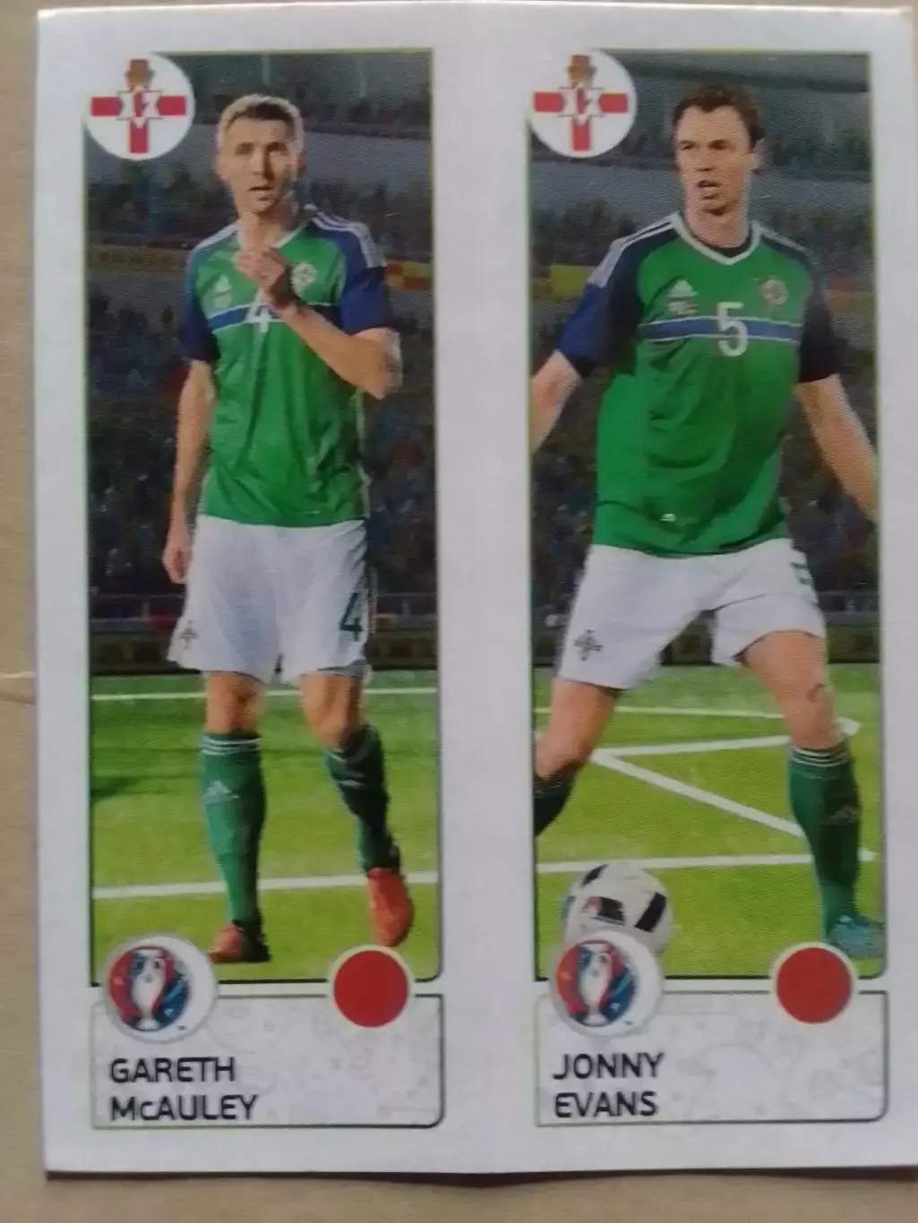 Паннини EURO 2016 - Garret McAULEY, J.EVANS. Cеверн. Ирландия. Оптом скидки 30%