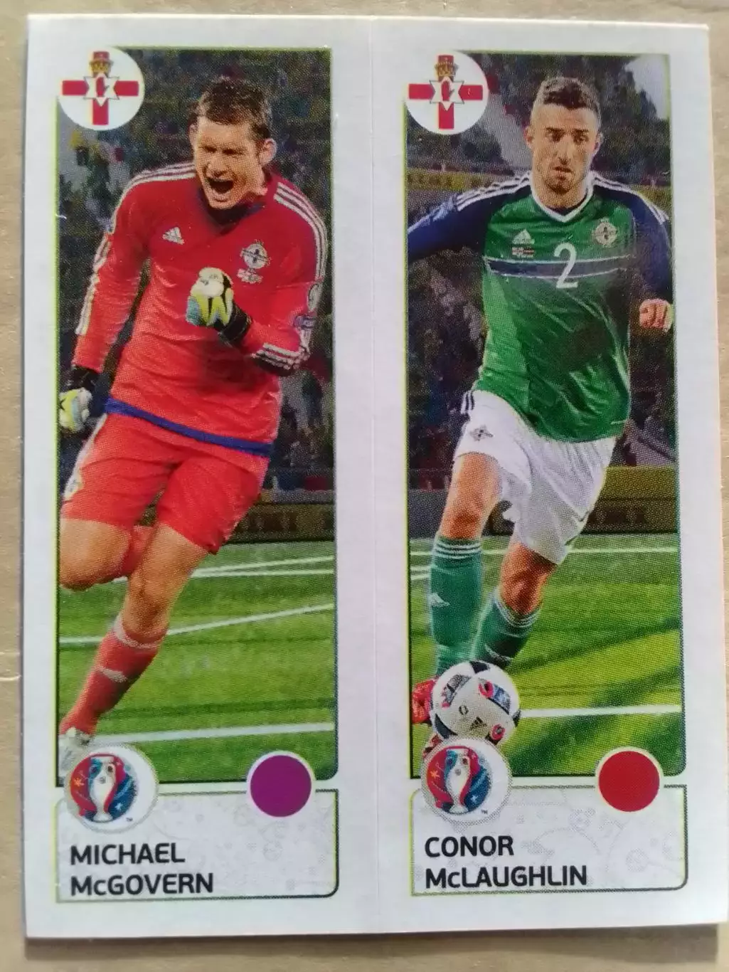 Паннини EURO 2016 -M. McCOVERN. C.McLAUGHLIN. Cеверн. Ирландия. Оптом скидки 30%