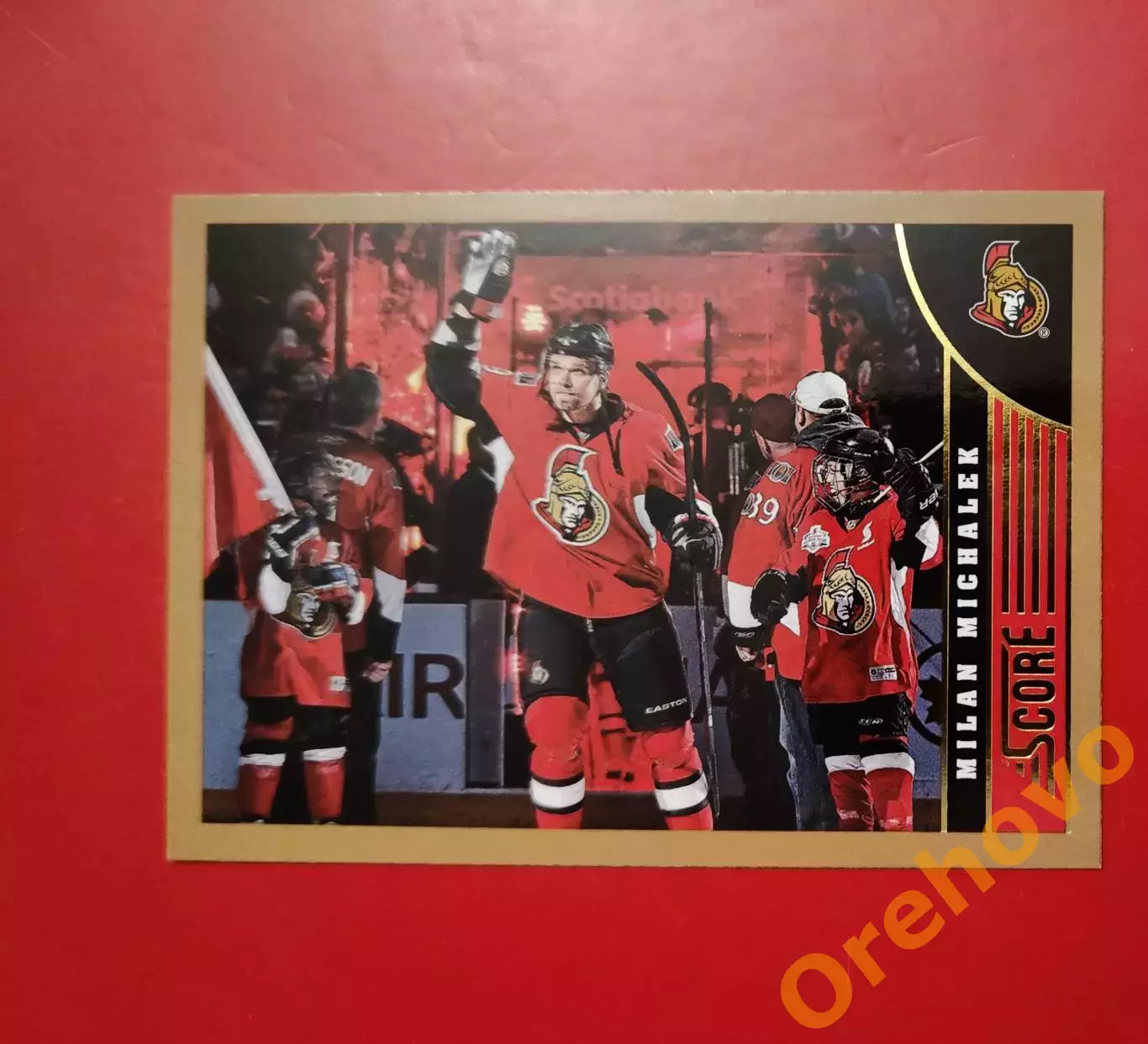 MILAN MICHALEK No 349 Оттава 2013-14 panini