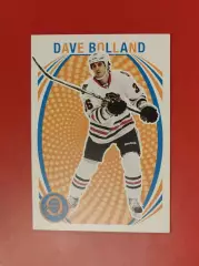 DAVE BOLLAND No 461 Чикаго 2013-14 o-pee-chee