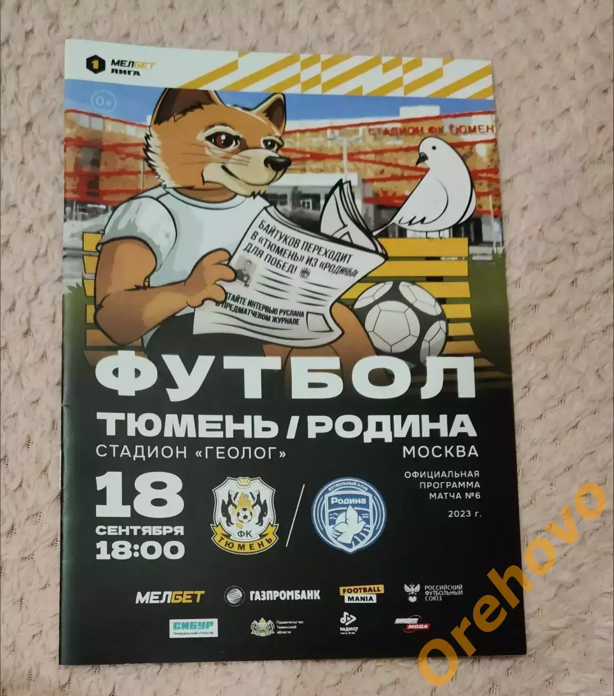 Тюмень - Родина Москва 18.09.2023