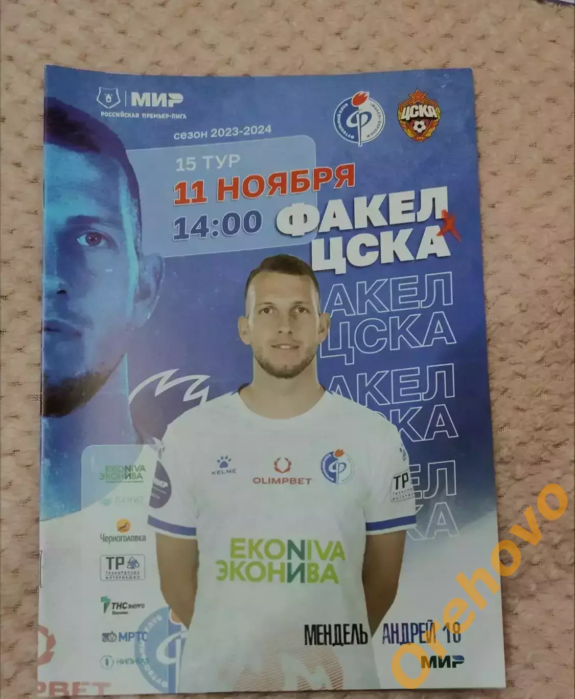 Факел Воронеж -ЦСКА Москва 11.11.2023