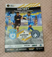 Сокол Саратов – Родина Москва 07.04.2024