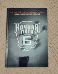 Фестиваль хоккея Ночная лига 2016-2017