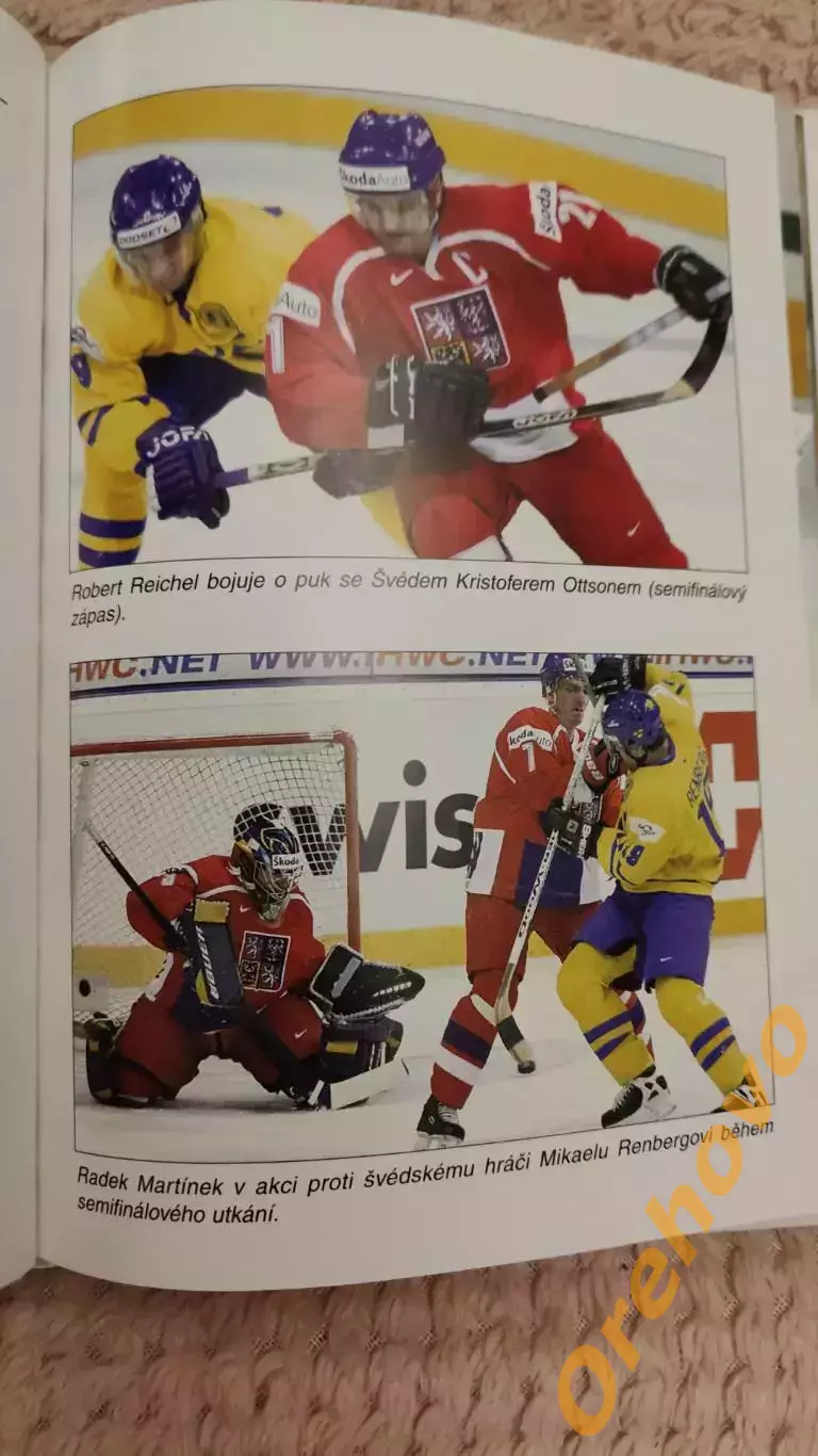 Чехия - Чемпион мира, Германия 2001 2