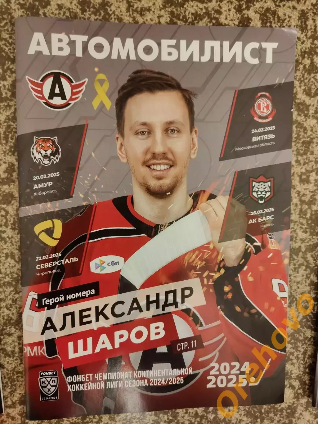 Автомобилист Екатеринбург - Амур, Северсталь/Витязь, Ак Барс 20,22,24,26.02.2025