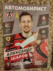 Автомобилист Екатеринбург - Амур, Северсталь, Витязь, Ак Барс 20,22,24,26.02.202