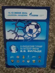 Турнир В. В. Вильде Санкт-Петербург 2025 юноши Зенит/Калининград/Ижевск/ Стрела