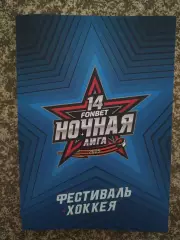 Ночная хоккейная лига 4-16.05.2025 фестиваль хоккея официальный буклет