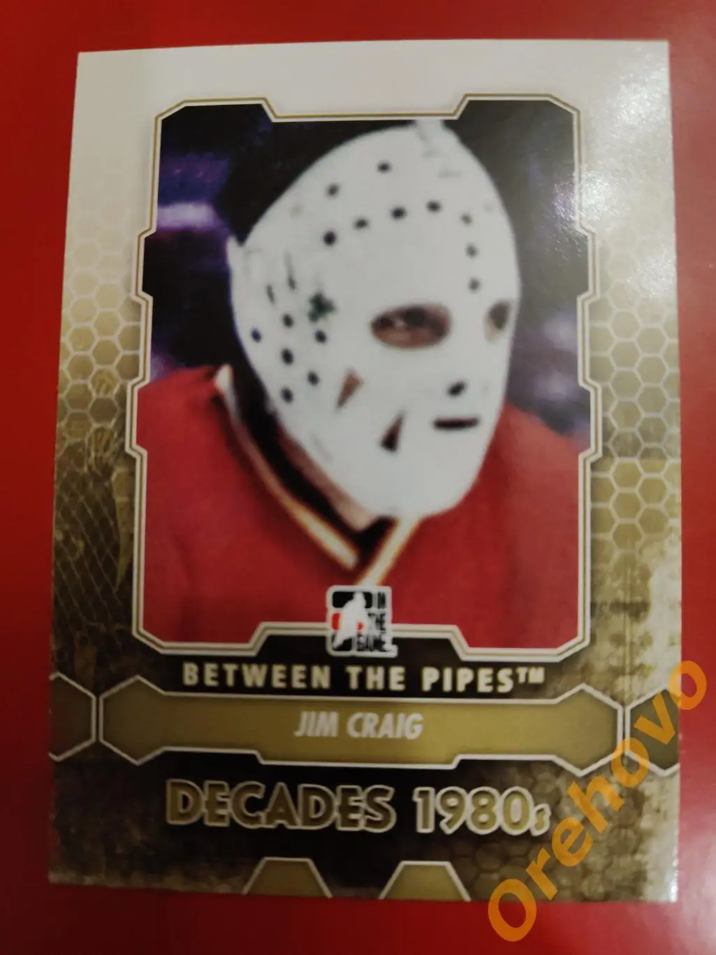 2012-2013 ITG Between the Pipes вратарь JIM CRAIG No 131