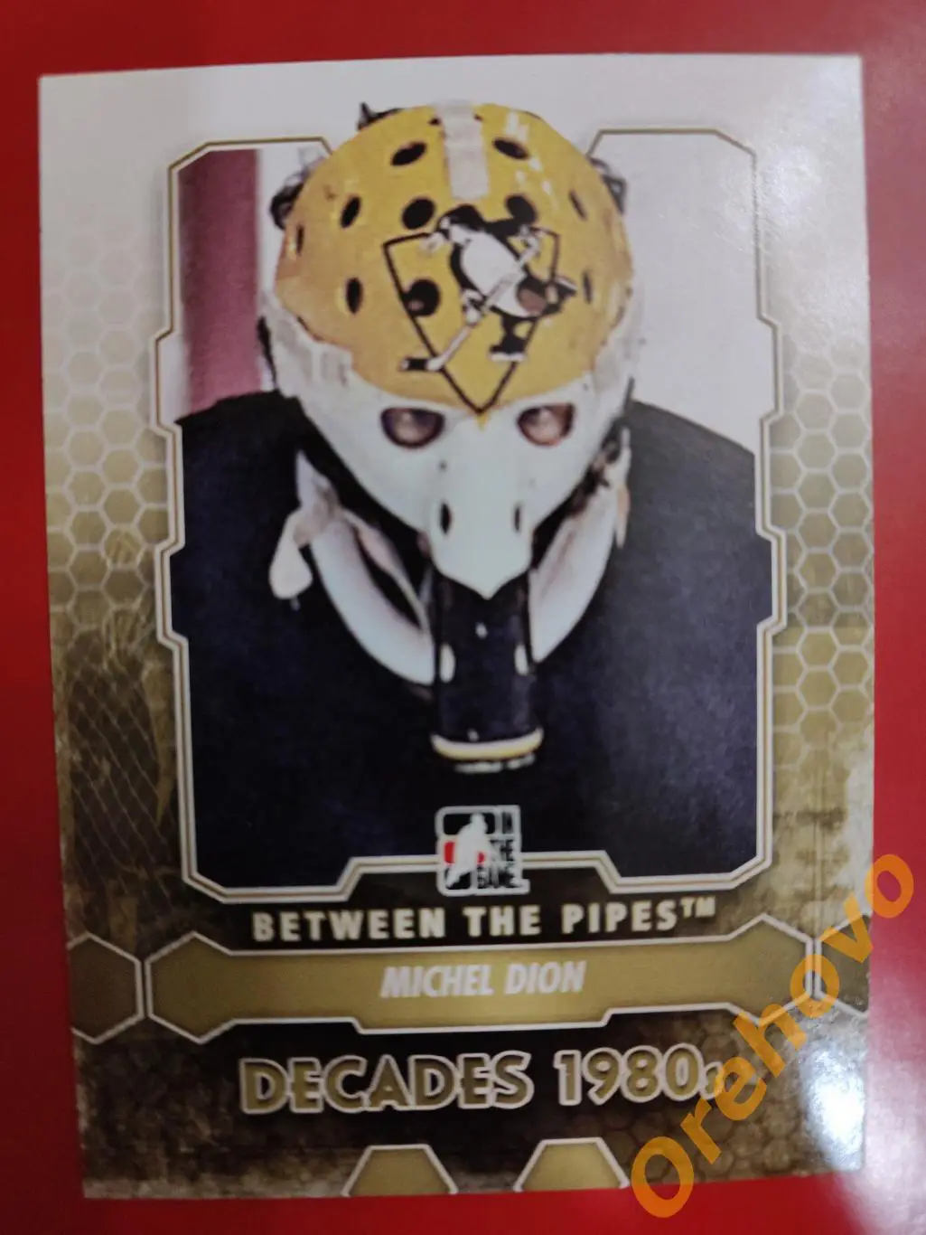 2012-2013 ITG Between the Pipes вратарь MICHEL DION No 135