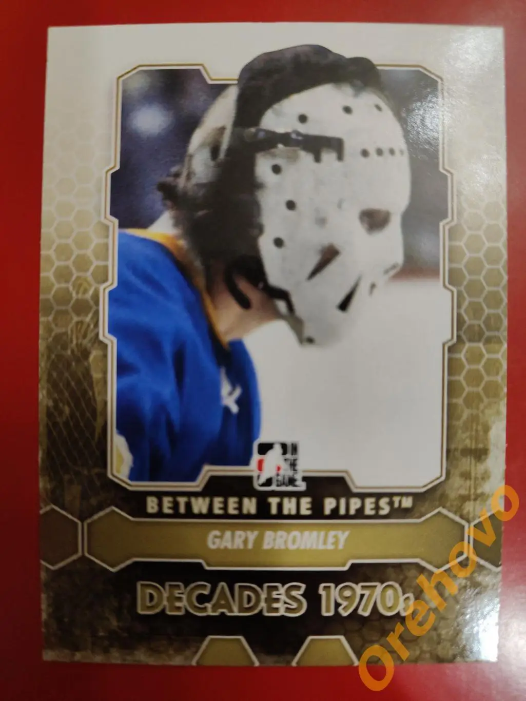 2012-2013 ITG Between the Pipes вратарь GARY BROMLEY No 146