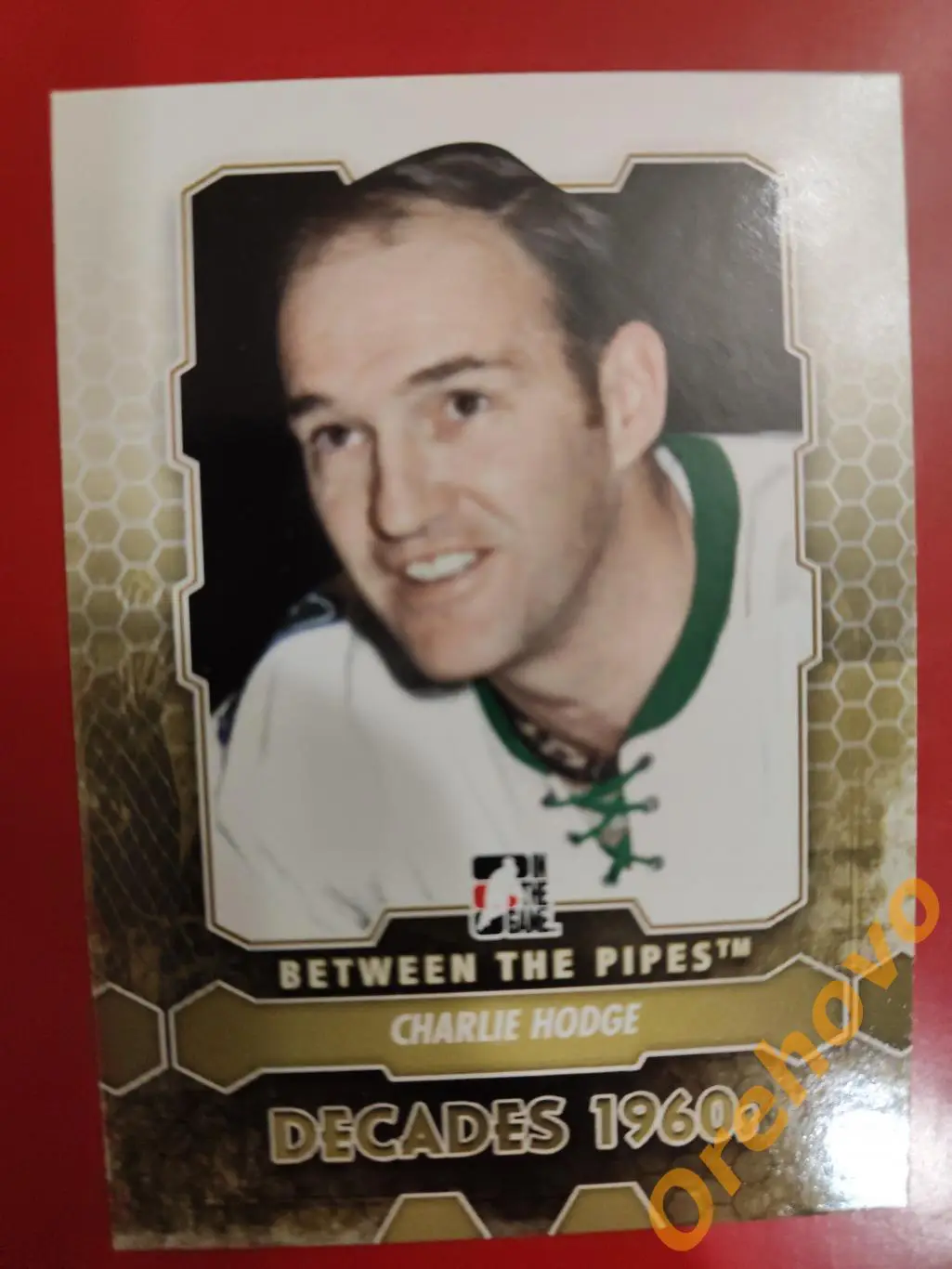 2012-2013 ITG Between the Pipes вратарь CHARLIE HODGE No 161