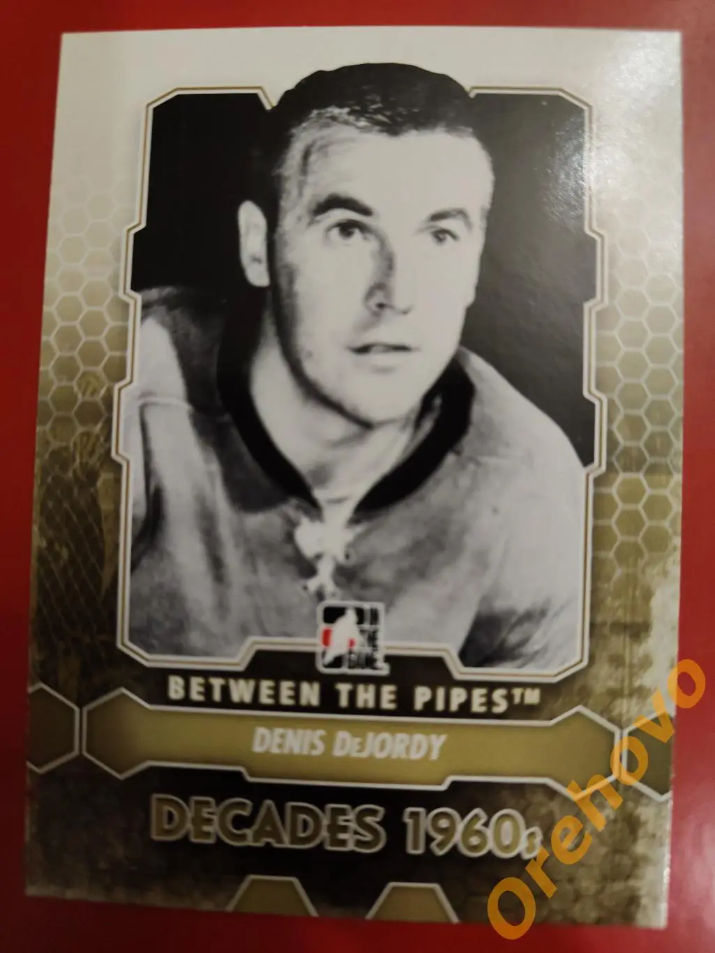 2012-2013 ITG Between the Pipes вратарь DENIS DeJORDY No 162