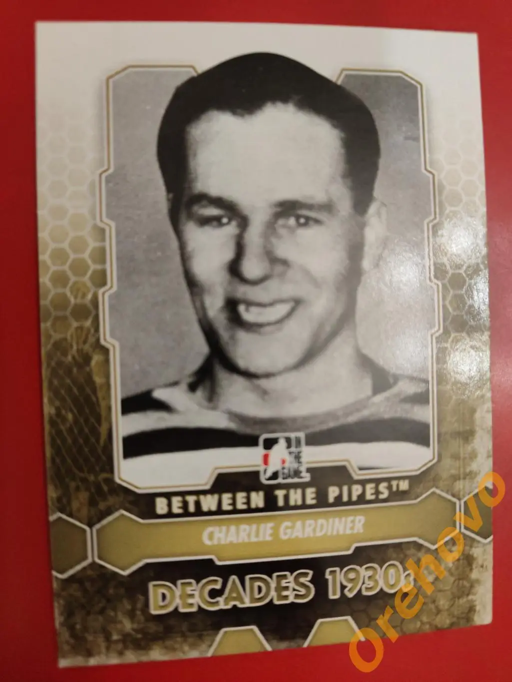 2012-2013 ITG Between the Pipes вратарь CHARLIE GARDINER No 176