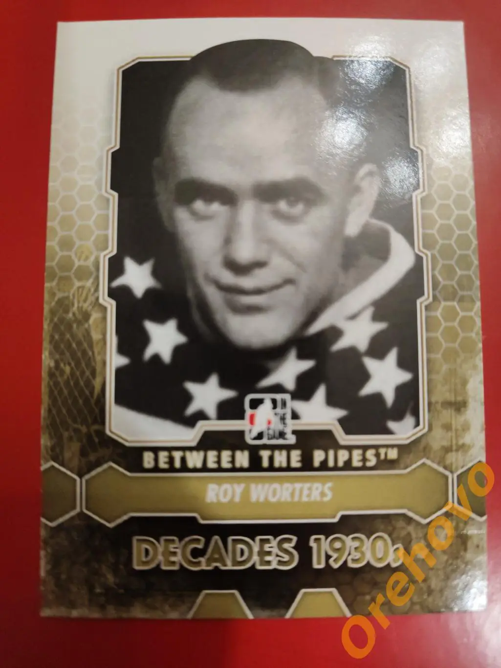 2012-2013 ITG Between the Pipes вратарь ROY WORTERS No 179