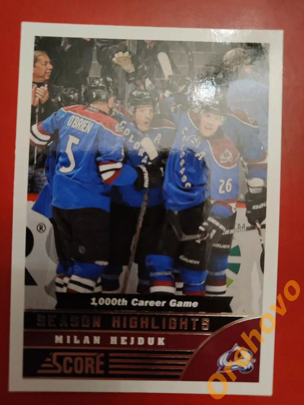 MILAN HEJDUK No 585 Колорадо 2013-14 Score Panini