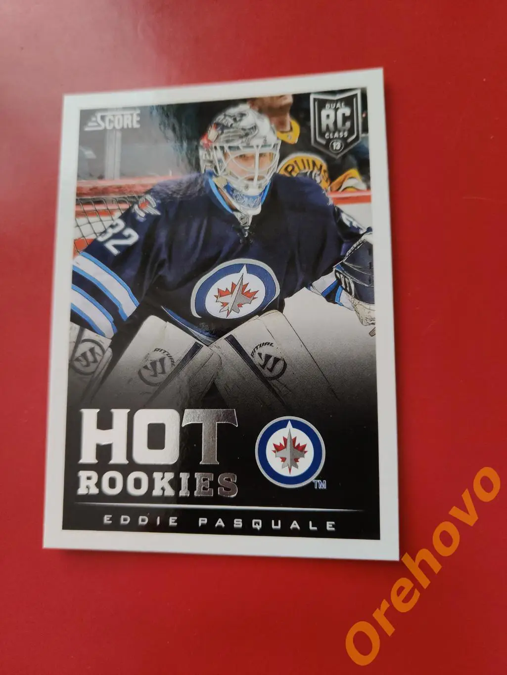 EDDIE PASQUALE вратарь новичок No 596 Виннипег 2013-14 Score Panini.