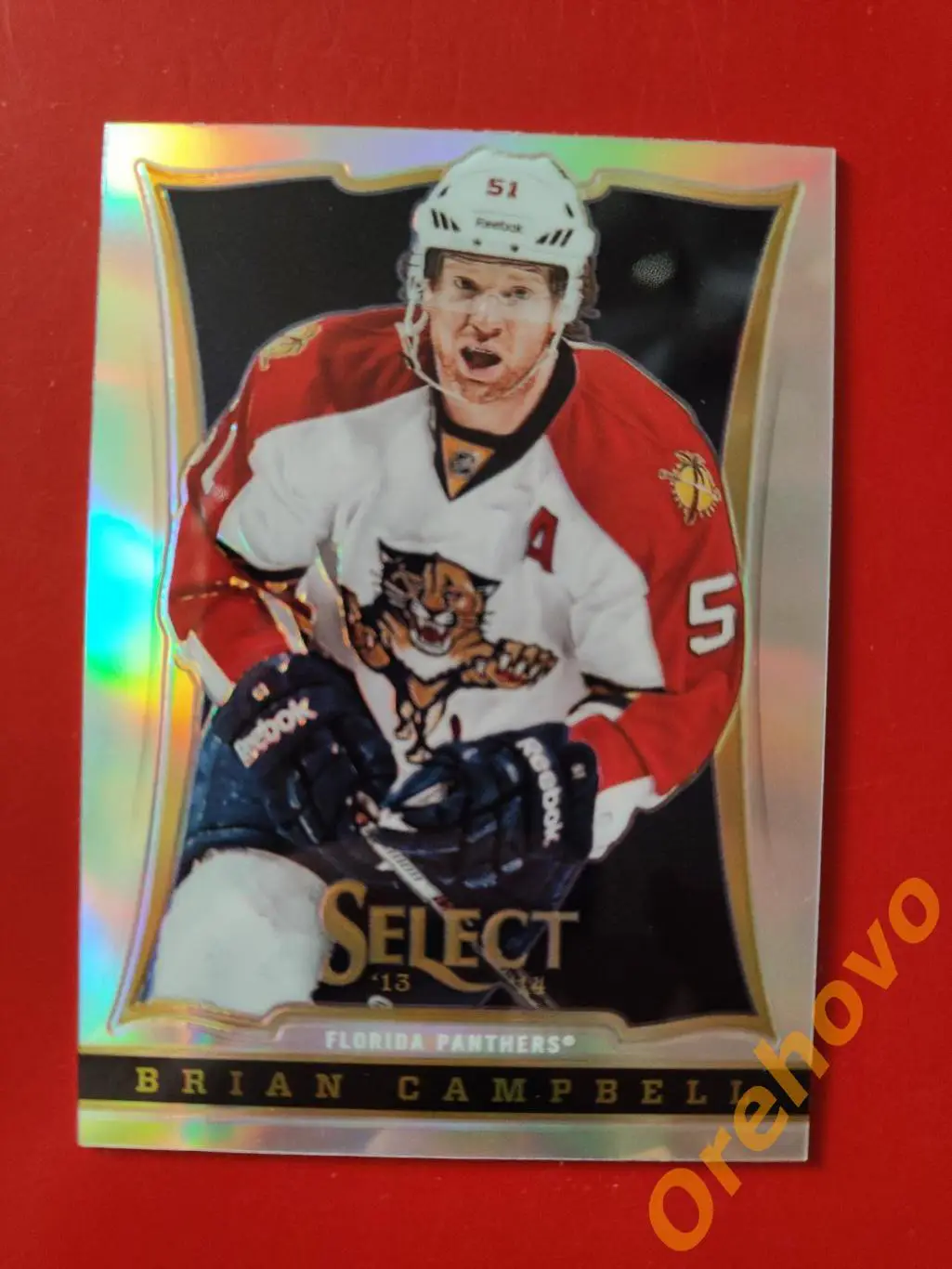 BRIAN CAMPBELL No 148 Флорида Panini.