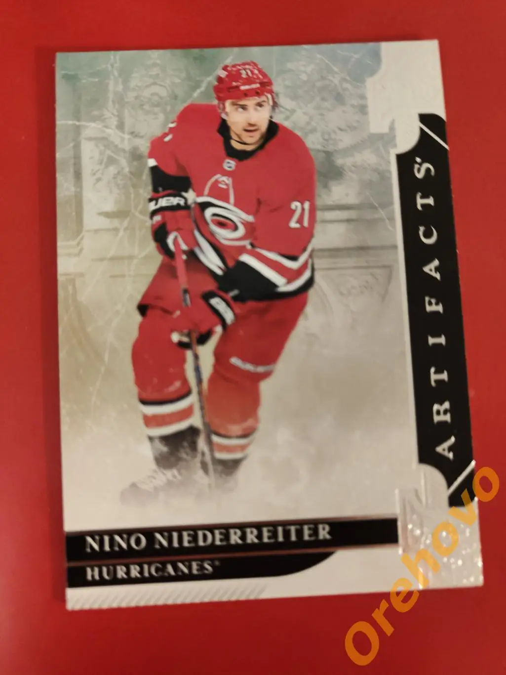 NONO NIEDERREITER № 49 Каролина 2019-20 ARTIFACTS