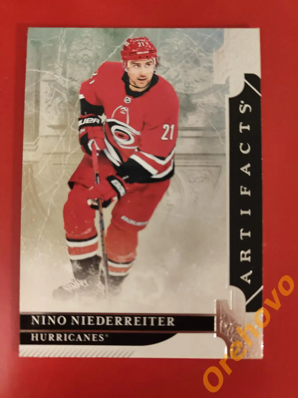 NONO NIEDERREITER № 49 Каролина 2019-20 ARTIFACTS