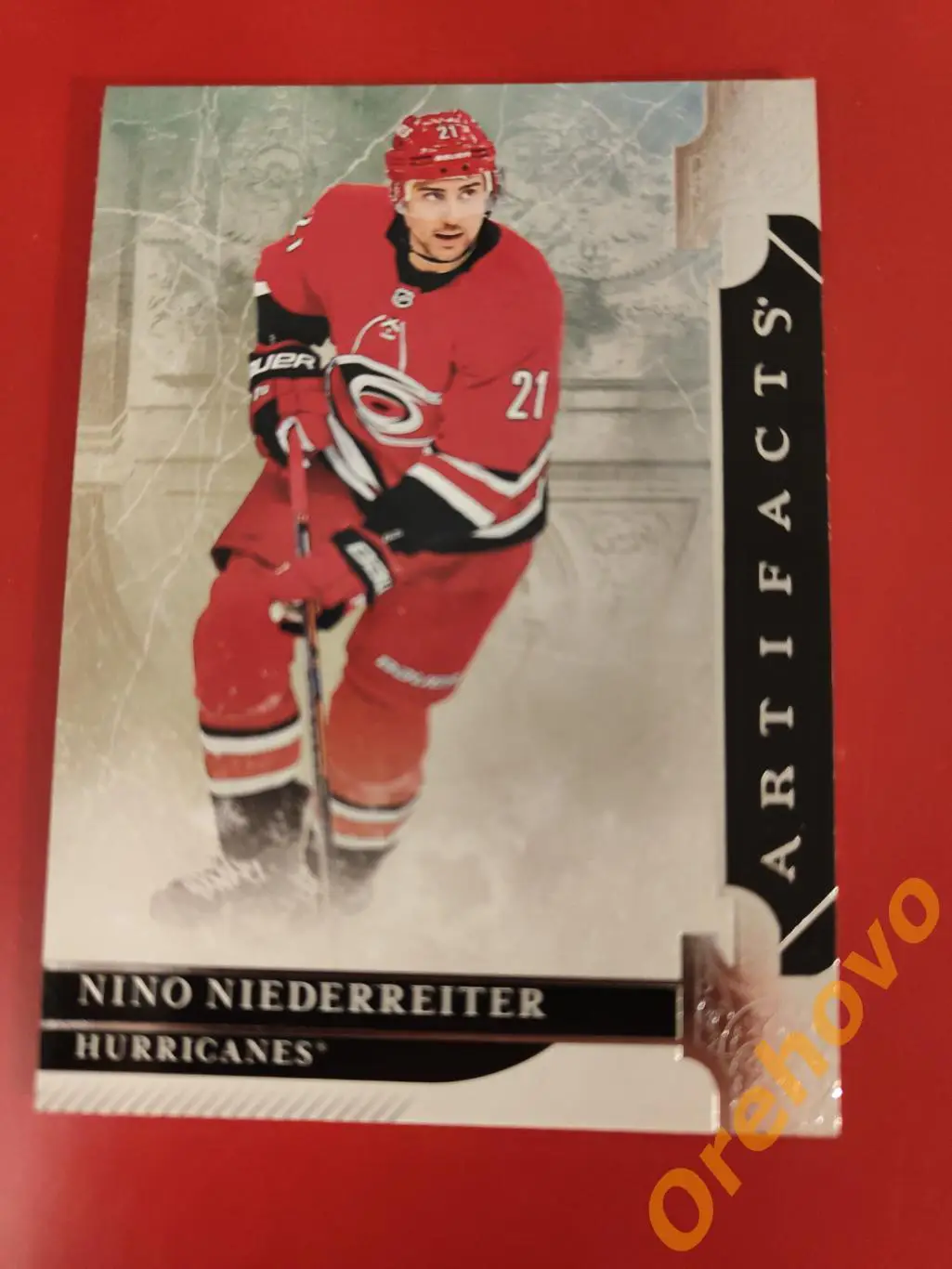 NONO NIEDERREITER № 49 Каролина 2019-20 ARTIFACTS.