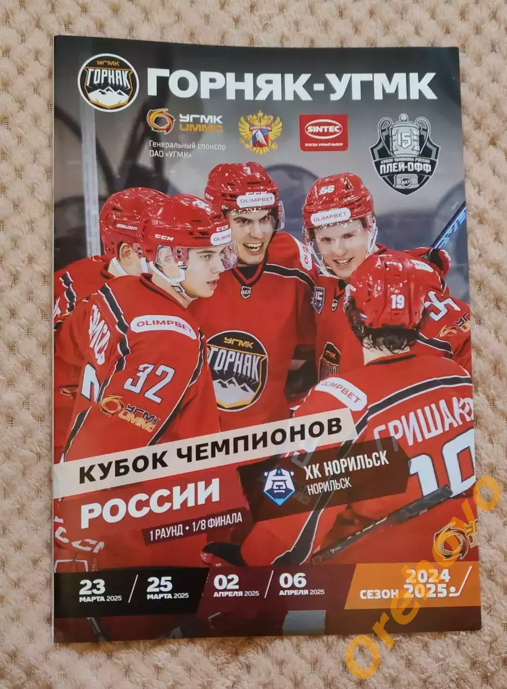 Горняк-УГМК Верхняя Пышма - Норильск плей-офф 2024/2025